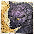 Mug Shots - Nyds by PaintlessDog