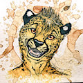 Mug Shots - Obscura by PaintlessDog