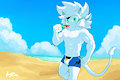 Raigar
