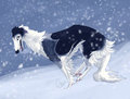 Snow Day
