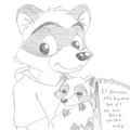 two raccoons