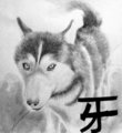 A-005