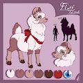 Fluff The llama, Ref Sheet