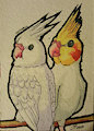 birbos [comm]