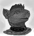 Vid Icon