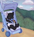 [C] Stroller - Jasper