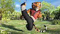 Master Tigress Kick