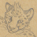 MFF 16 Stuff - Sketch by Goldendruid