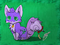 Lil' Pup Shadox! - by Tales de Mileto & Me