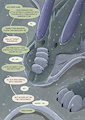 Size Matters 2 - Page 7