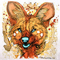 Mug Shots - Wander