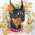 Mug Shots - Zoey by PaintlessDog
