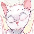 Cat-angel
