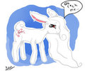 MLP fanart quicky