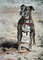Gypsy by Jira