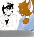 Late night meeting