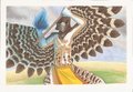 Hawkfeather Commission by ChitterChatterOtter