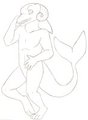Muadragon's Dolphin