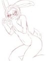 shy bunny