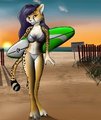 Surf Kitty