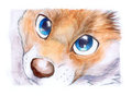 Blue Eyes - Astolpho by KennyKitsune