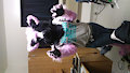 First Time Suiting Xy