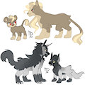 Team Cats vs Dogs