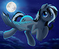 [Com] Night flight
