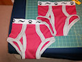 2x Small Arcc briefs
