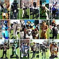 MancFurs Meetup Photos 08-04-2017