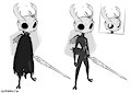 Hollow Knight