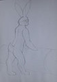Fiver anthro version