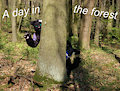 A day in the forest