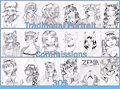 Want a traditional portrait?