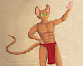 Chip Stilton - A Mighty Mischievous Mouse