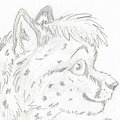 Furrnion stuff - Sketch by GriffinBandida