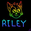 Rainbow Neon Doodle - Riley by BlueberryBaby