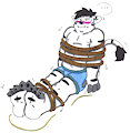 Derek the Cat: Tied Cat Paws