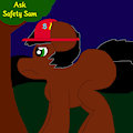 Ask Safety Sam