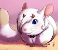 ♥Chinchilla Noises♥