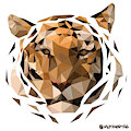 Tiger by Mytigertail