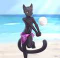 Volleyball, woo!