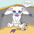 Gatomon's icky diaper