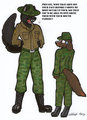 Drill Sergeant Stark Commission