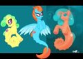 Make a Splash by Dox