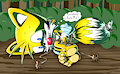 Leave In The Woods