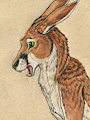 Colored Pencil Nate
