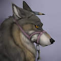 Sleth Portrait