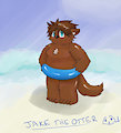 Chibi Jake (by CrimsonCinder)