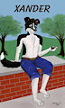 My fluffy collie self by Akesseltrain92